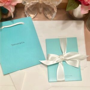 NWT Tiffany & Co. Silver Polishing Cloth, 7" x 5" Tiffany Blue In New Condition